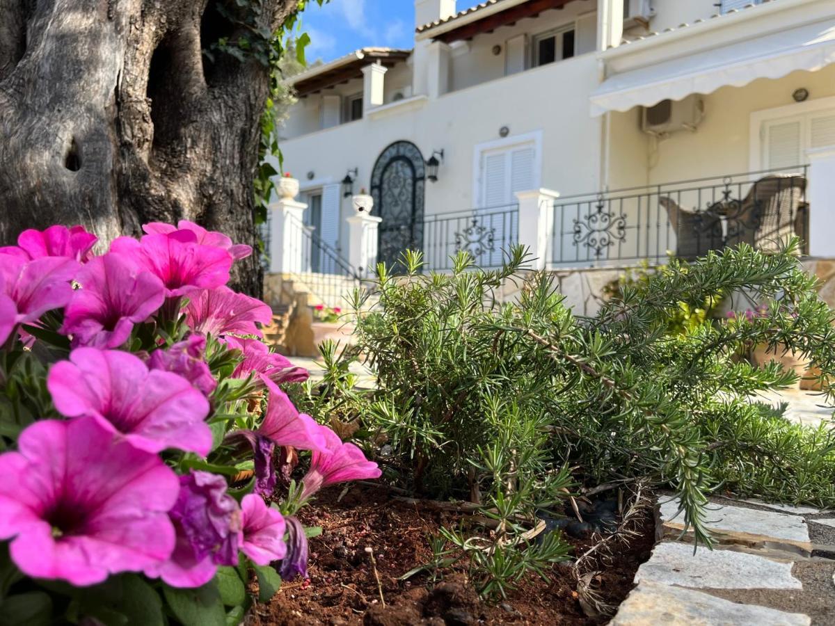 Villa Ampelaki "30 Meters To Beach" Палеокастрица Экстерьер фото